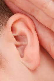耳の画像：目からうろこの耳寄り情報