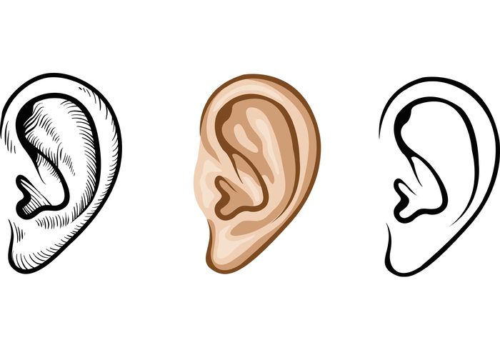 人間の耳：目からウロコの耳寄り情報局